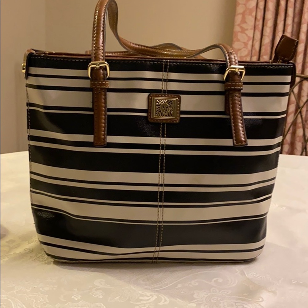 Anne Klein lion striped purse.